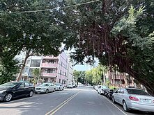 🔺專任黎明新村臨路透天美宅🔺