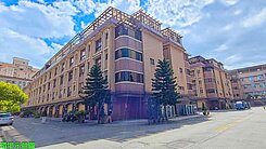 桃園後火車站甲種工業區比佛利樂活區(有電梯的透天)