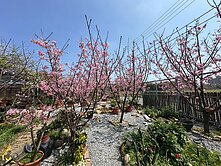 湖口成功路旁🎖️甲建用地🎖️送小屋