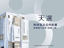 東區全新雙車庫電梯別墅