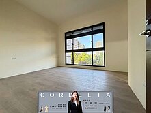 中央新村全新面公園三房車🐶新店琪琪