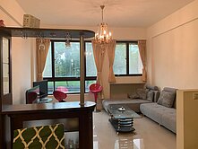 山佳車站商圈大坪數水景觀透天別墅(樹林區八德街)