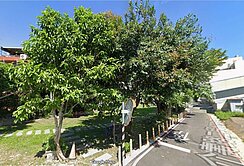 八德介壽路雙面臨路三角窗建地