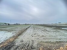 彰化花壇交流道特定區都計內方正美農地