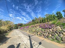 后里馬場旁內東路大地坪農地.有水有電