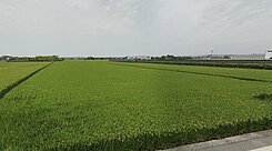 急售！熱門農地埔心鄉二重段有水有電，機能佳