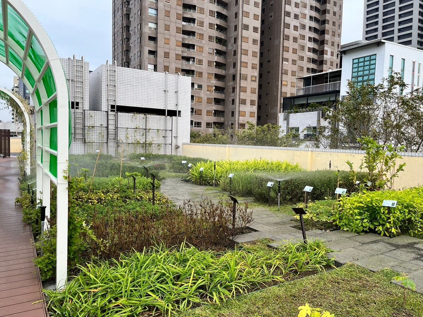 高市綠化補助再一波　補助二階開跑最高80萬元