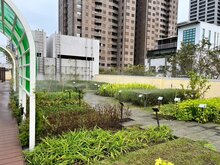 高市綠化補助再一波　補助二階開跑最高80萬元