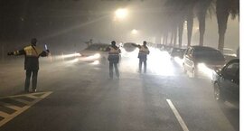 交通部擬修法重罰毒駕　吸毒行為直接吊銷駕照