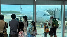 清明連假帶動　虎航、星宇寫最強4月營收