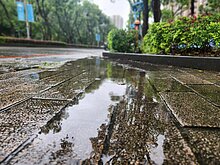 吳德榮：連3天鋒面影響　由北而南防瞬間強降雨