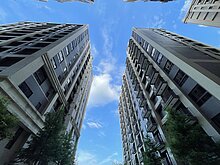 高檔大樓貓群異味外溢外國房客遭殃　北市將訪視