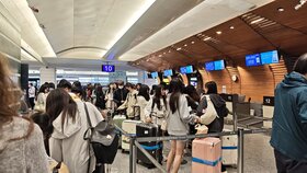 114年國旅旅次與支出雙創歷史新高　出國消費首破兆