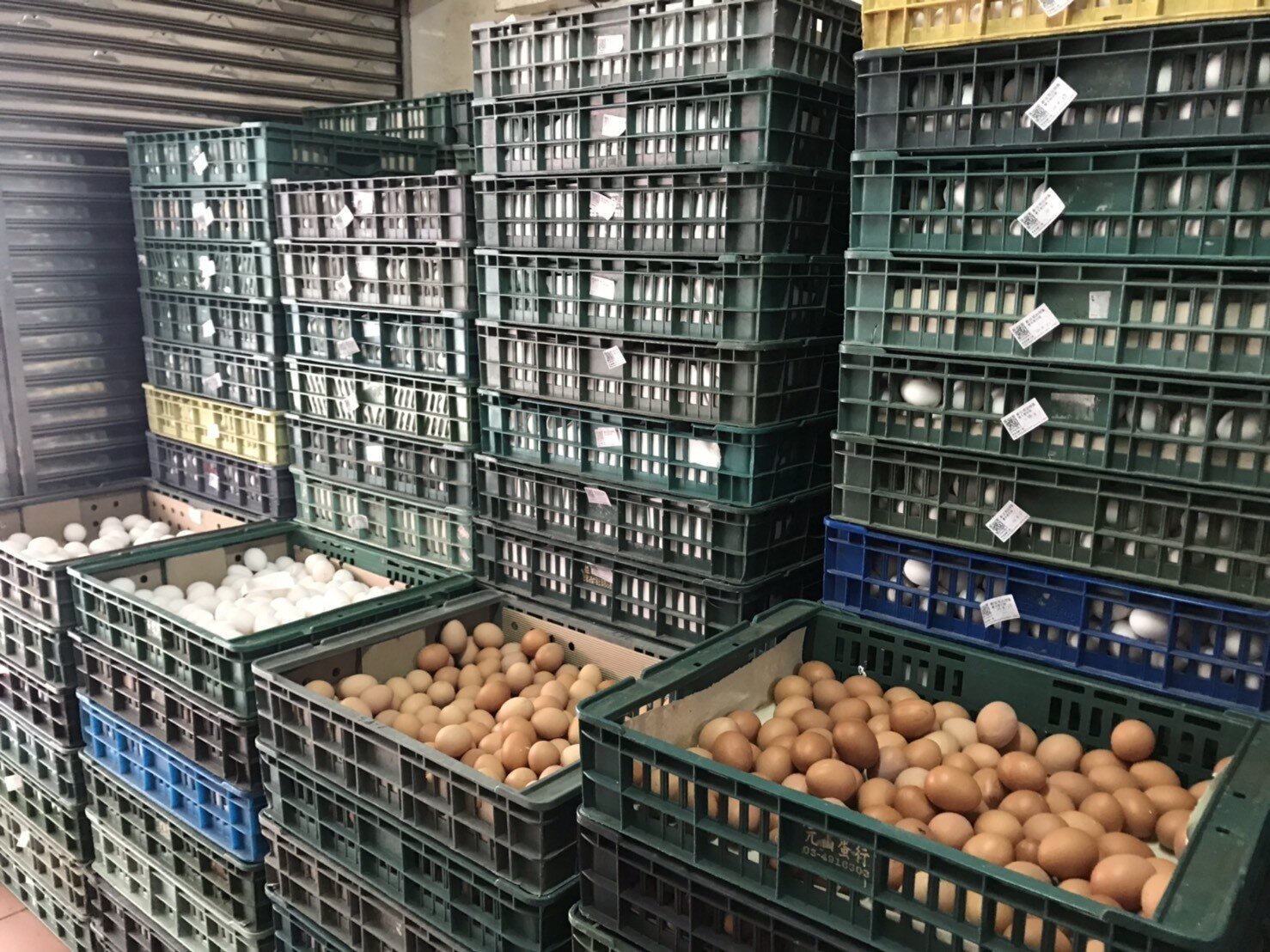 農業部表示，雞蛋供需在合理範圍內。圖／農業部資料照