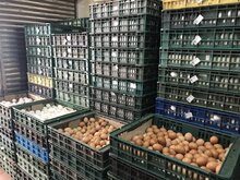 農業部：雞蛋供需在合理範圍內　短缺地區加強調度
