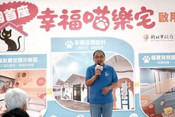 8/17「國際黑貓感謝日」！新北啟用「幸福喵樂宅」　認養黑成貓免費送1年份貓糧
