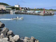 新北擬擴大3浬海保區　學者籲兼顧科學監測執法