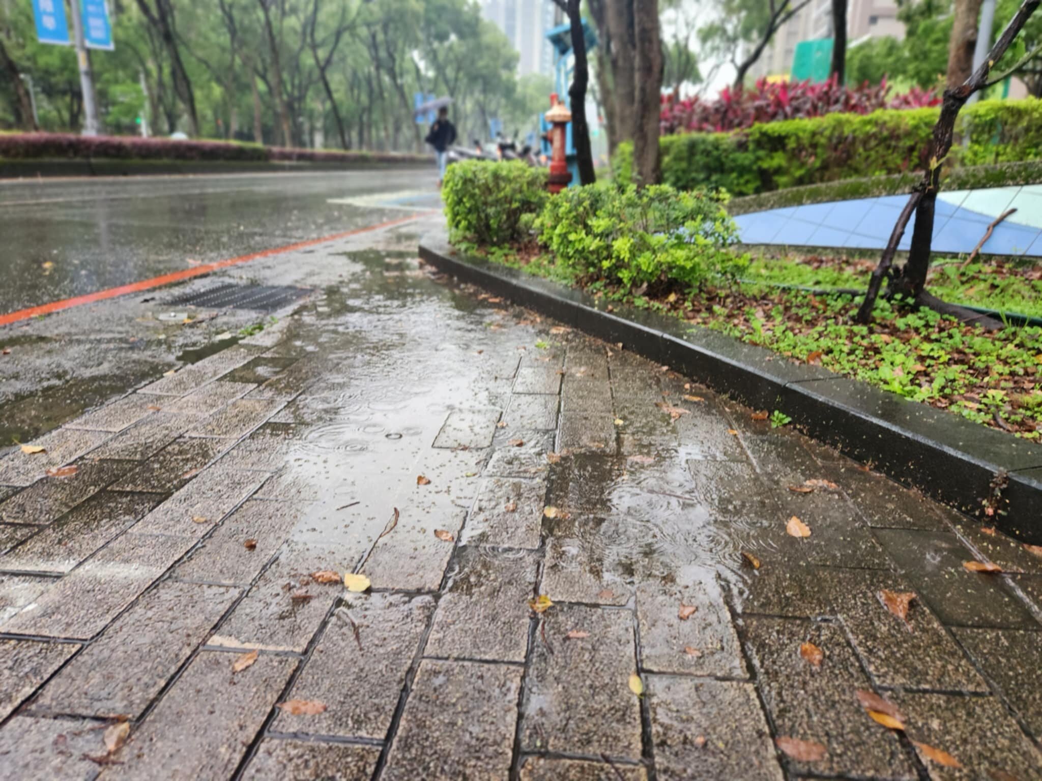 颱風沙德爾過門不入仍威脅台灣北部海面。圖／5168實價登錄比價王資料照