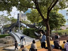 近2成肥胖孩童有脂肪肝　營養師建議好醣取代精緻糖
