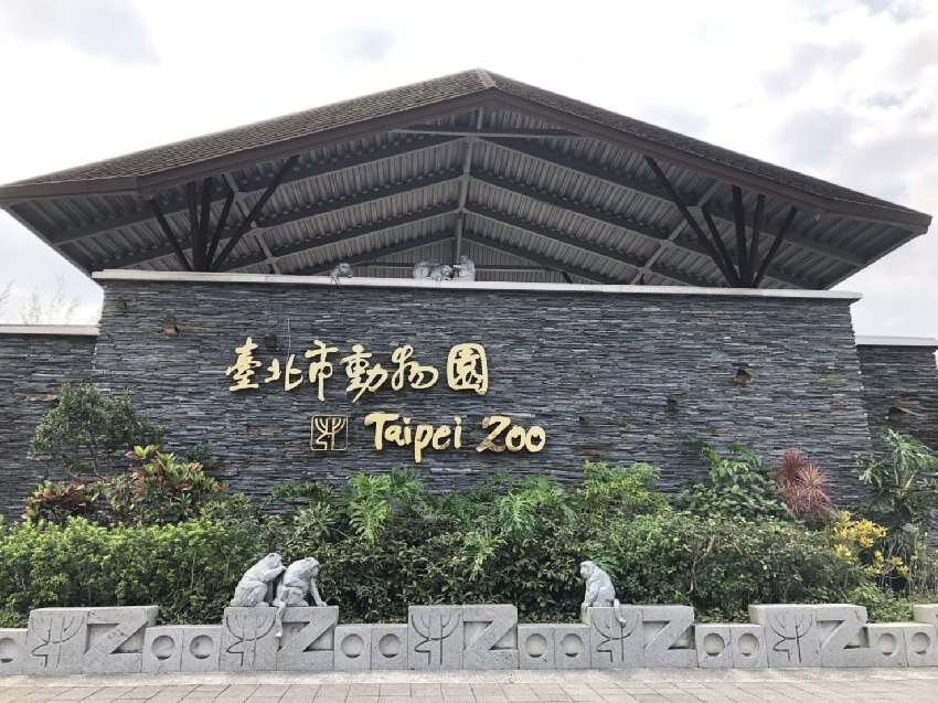 北市動物園紅毛猩猩雙胞胎，小寶亡、大寶狀況不穩。圖／北市府提供