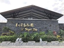 北市動物園紅毛猩猩雙胞胎　小寶亡、大寶狀況不穩