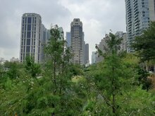 「保障3年租期、續租漲幅設限」喊卡　內政部：租賃專法先推共識部分
