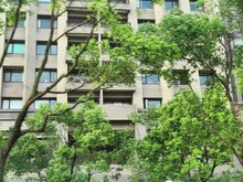 高樓層不再是首選？　全台買房愈買愈矮…　大家都在搶「這幾層」