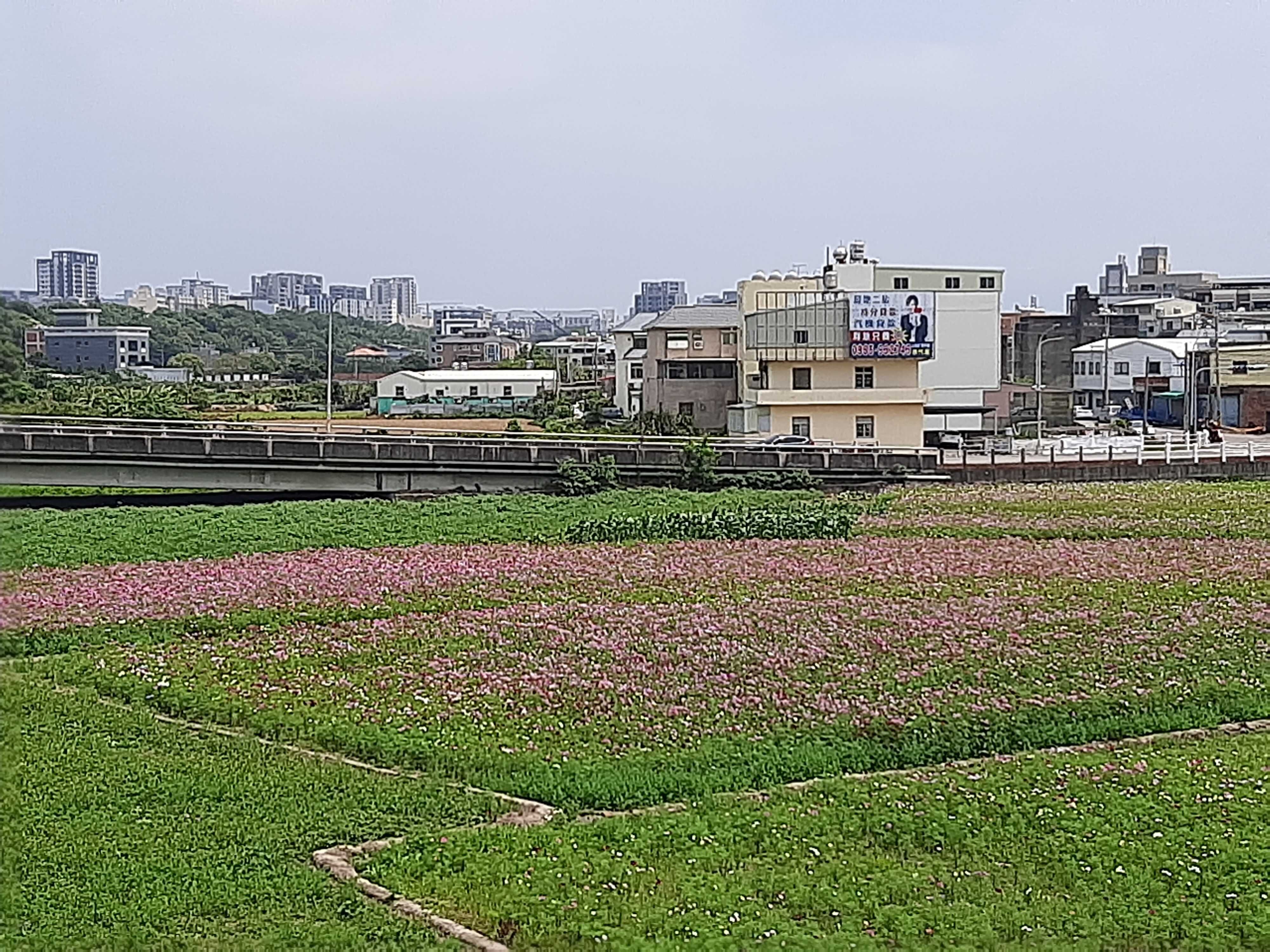 地價稅11/1開徵。圖/5168實價登錄比價王資料庫