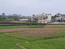 地價稅11/1開徵　財部估稅額1046億元年增6.91%