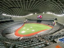 大巨蛋球賽老鼠亂入　遠雄：啟動全面巡檢清消
