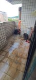 租屋族注意！新北首創「寵物飼養約款」　違者最高罰7萬5